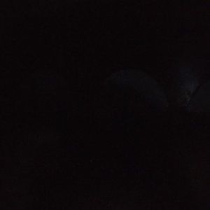 Meet your Posher, Corey